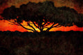 790019 Gum Tree, Outback, Australia A4 Limited Edition Watercolour Print