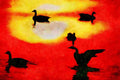 790021 Canadian Geese Sunset A4 Limited Edition Watercolour Print