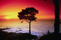 790030 Sunset On The Famous Monterey Peninsula, Monterey, California, U.S.A. A4 Photo Print