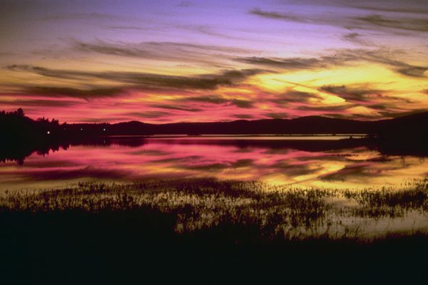790033 Bar Harbor, Maine, U.S.A. A4 Photo Print