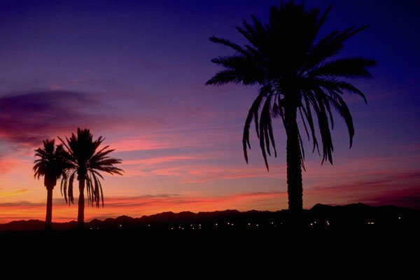 790045 Semi tropical Landscape, Arizona, U.S.A. A4 Photo Print