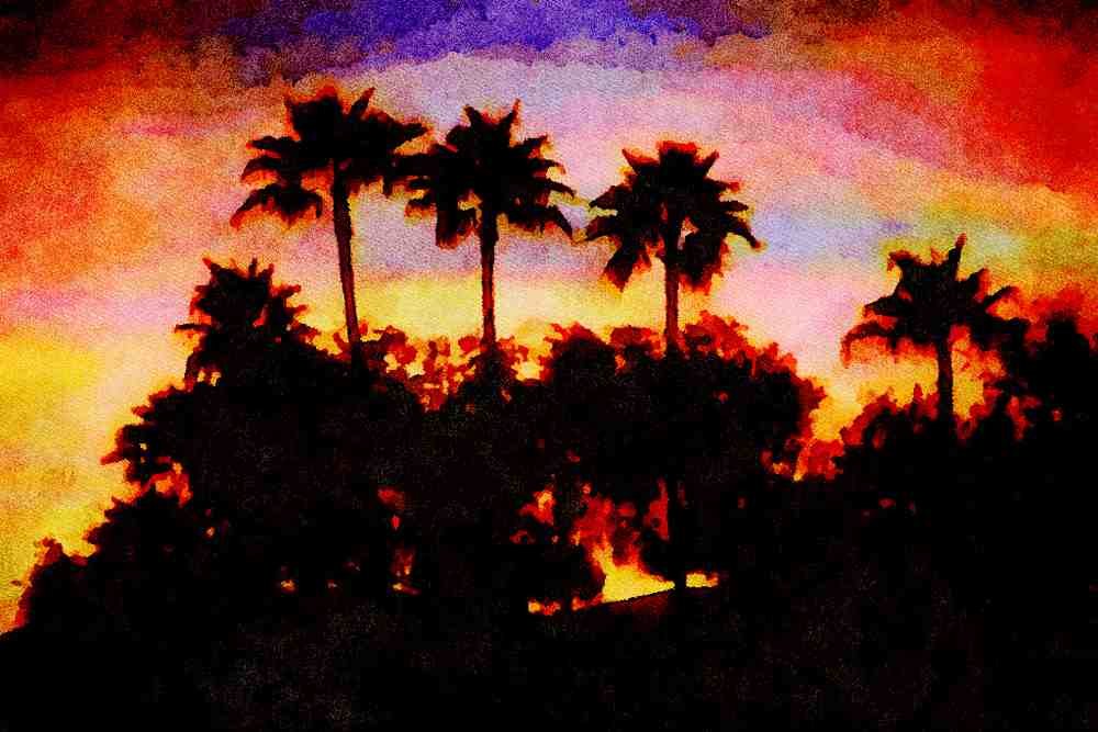 790046 Semi tropical Sunset A4 Limited Edition Watercolour Print