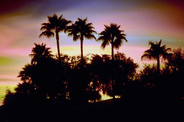 790046 Semi tropical Sunset A4 Photo Print
