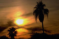 790048 Sub tropical Sunset A4 Photo Print