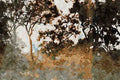790052 Sun's Last Light, In Mist And Trees, Australia A4 Limited Edition Watercolour Print