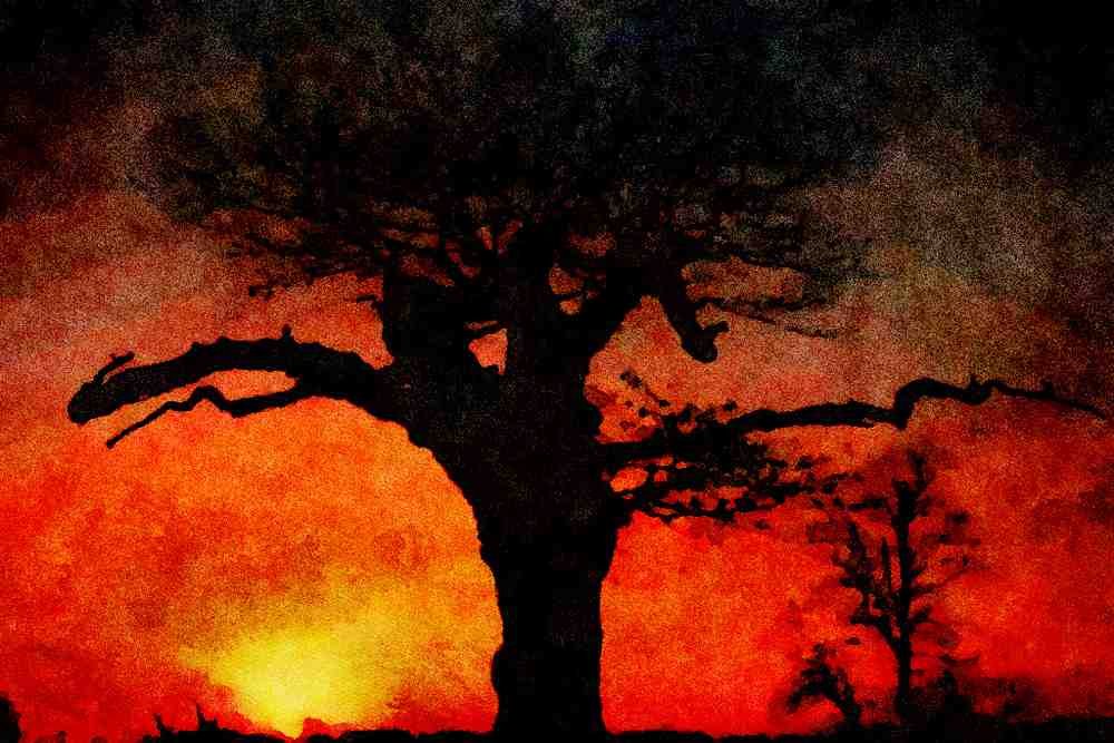 790060 Sunset And Tree, Richmond Park, London, England A4 Limited Edition Watercolour Print