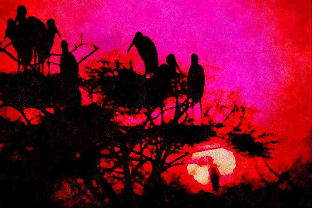 790062 Storks At The Nest, India A4 Limited Edition Watercolour Print