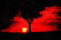 790074 Sunset And Balanites Tree In Masai Mara Game Reserve A4 Limited Edition Watercolour Print