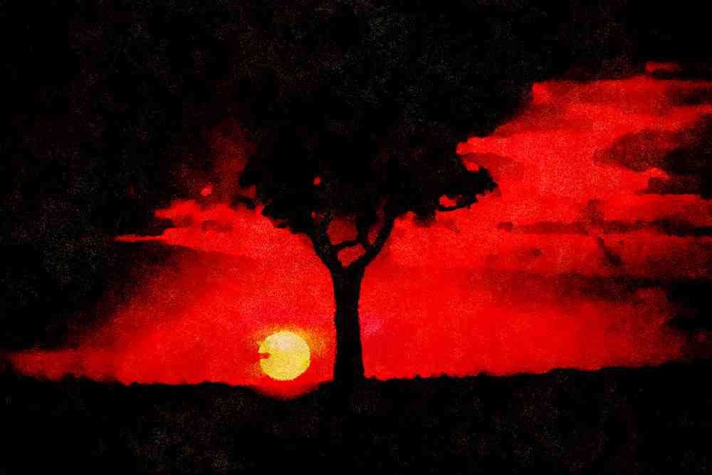 790074 Sunset And Balanites Tree In Masai Mara Game Reserve A4 Limited Edition Watercolour Print