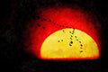 790087 Canada Geese Silhouetted Against Setting Sun A4 Limited Edition Watercolour Print