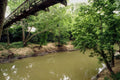 791014 Bayou Bend Collection Park, Houston, Texas, U.S.A. A4 Photo Print