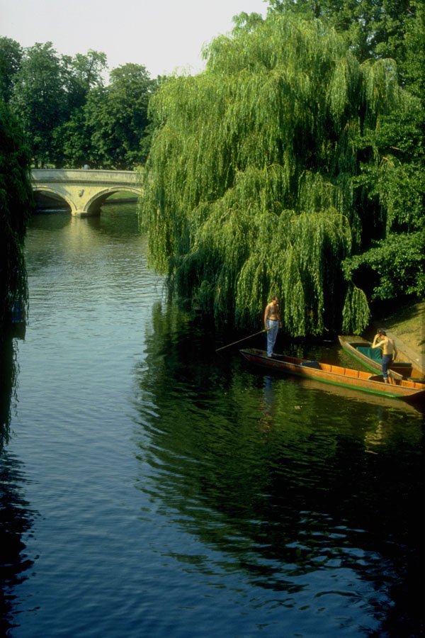 791020 River Cam At Trinity College, Cambridge, U.K. A4 Photo Print