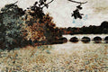791070 Windsor Great Park, England A4 Limited Edition Watercolour Print