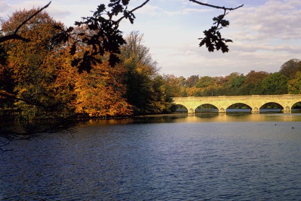 791070 Windsor Great Park, England A4 Photo Print