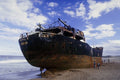 793027 Grouper, Madeira, Portugal A4 Photo Print