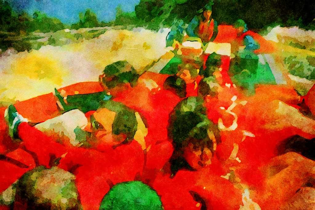793039 Whitewater Rafting, Wilderness Tours, Ottawa River, Ontario, Canada A4 Limited Edition Watercolour Print