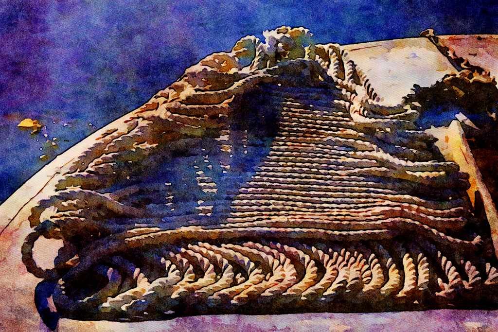 796002 Anchor Line, Sea Urchin Boat A4 Limited Edition Watercolour Print