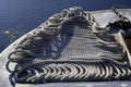 796002 Anchor Line, Sea Urchin Boat A4 Photo Print