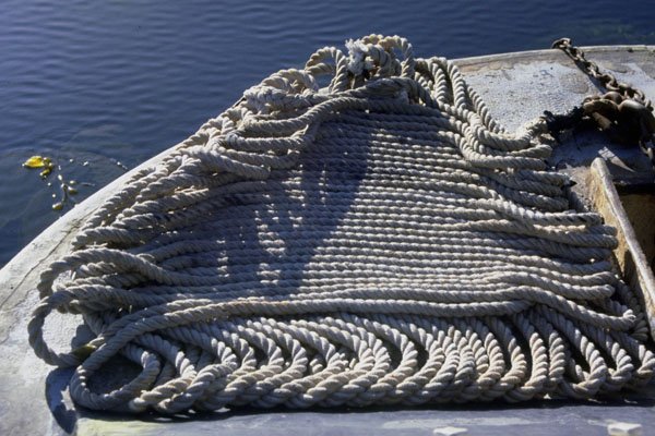 796002 Anchor Line, Sea Urchin Boat A4 Photo Print