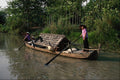 796009 Typical Transport In Hong Ngu District, Mekong Delta, Southern Vietnam A4 Photo Print