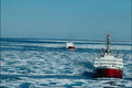 796041 Ice Breaker John A. MacDonald , Norwegian Bay, Canada A4 Photo Print