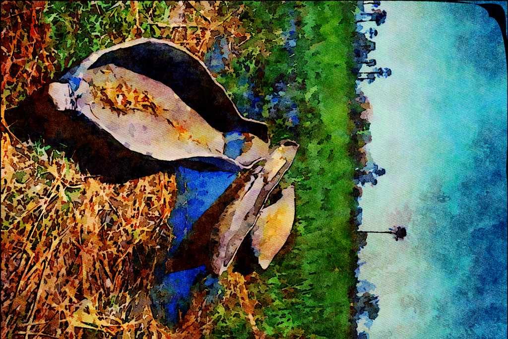796055 Mokoro's Okavango Delta, Botswana A4 Limited Edition Watercolour Print