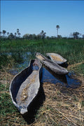 796055 Mokoro's Okavango Delta, Botswana A4 Photo Print