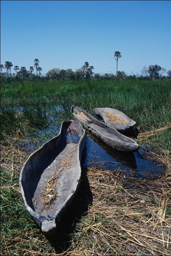 796055 Mokoro's Okavango Delta, Botswana A4 Photo Print