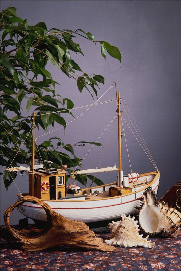 796088 Ship A4 Photo Print
