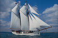 796089 Regina Chatarina , At Full Sail A4 Photo Print