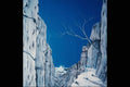 797060 Despair A4 Photo Print