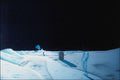 797095 Seeking The Truth A4 Photo Print