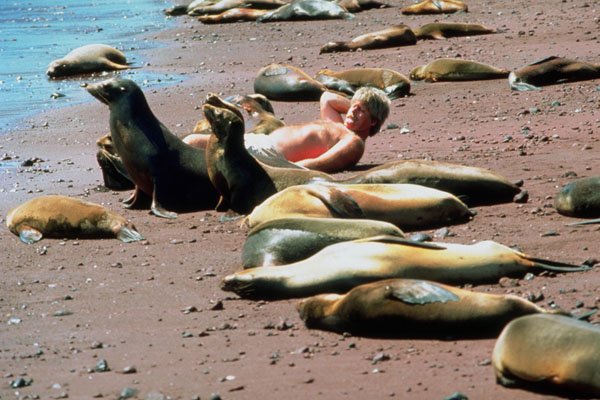 798004 Sea Lions And Visitor, Jervis Island Or Isla Rabida, Galapagos Islands A4 Photo Print