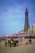 798015 Donkeys On The Beach, Blackpool, Lancashire, U.K. A4 Photo Print