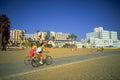 798034 Venice Beach, Los Angeles, California A4 Photo Print