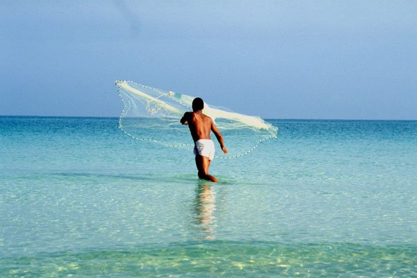 798049 Fishing With Net, Varadero, Cuba A4 Photo Print