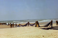798083 Fishing In Senegal, Africa A4 Photo Print