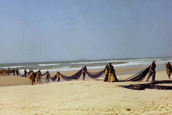 798083 Fishing In Senegal, Africa A4 Photo Print