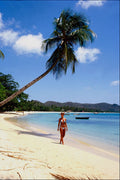 798094 Woman Posing On Beach, Caribbean A4 Photo Print