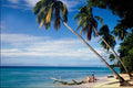 798097 Beach, Barbados A4 Photo Print