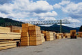 799087 Wood Sandmill, Germany A4 Photo Print