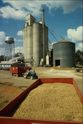 801025 Peanut Mill, Hartford, Alabama, U.S.A. A4 Photo Print