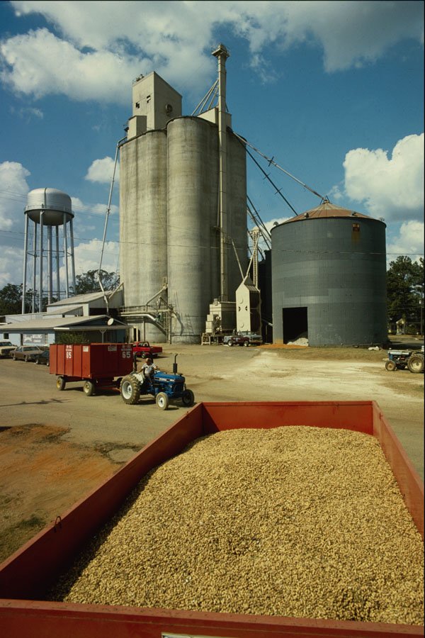 801025 Peanut Mill, Hartford, Alabama, U.S.A. A4 Photo Print