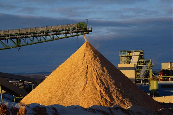 801030 Wood Chip Pile A4 Photo Print