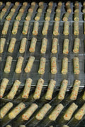 801058 Food Production A4 Photo Print