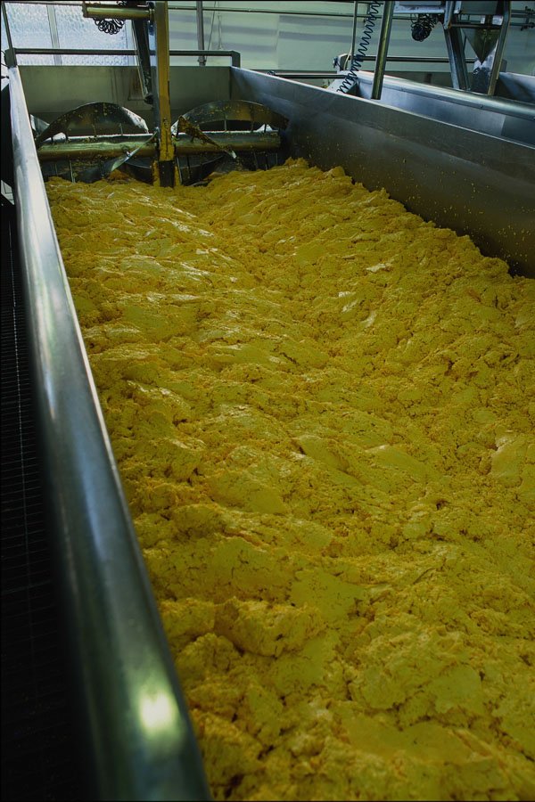 801059 Cheese Production A4 Photo Print