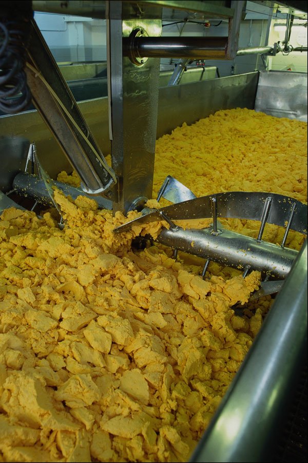 801062 Cheese Production A4 Photo Print