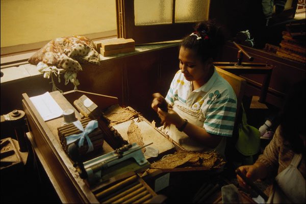 801074 Hand made Cigar Factory, Cuba A4 Photo Print