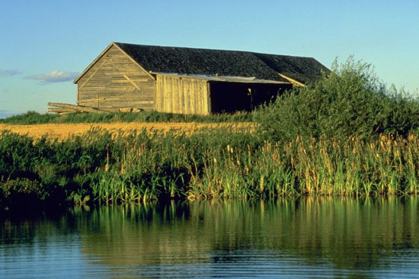 802002 Shed slough, Durban, Manitoba A4 Photo Print
