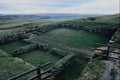802016 Milecastle 37, Near Housteads, Roman Wall A4 Photo Print